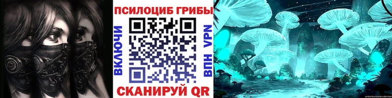 цены наркотик  hydra ТОР  Псилоцибиновые грибы мухоморы  Сегежа 